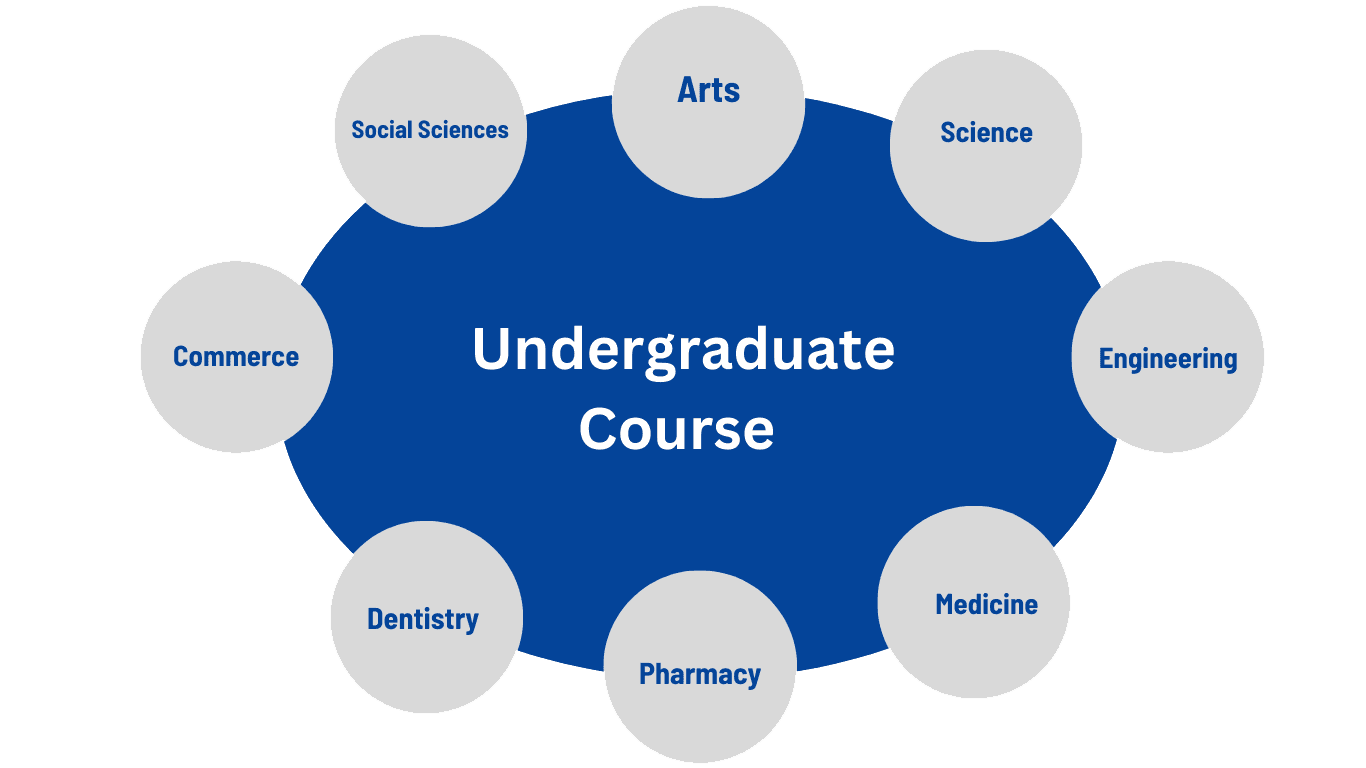 Undergraduate courses in India