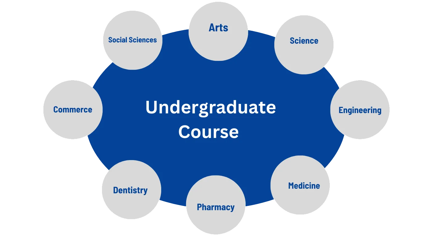 Undergraduate courses in India